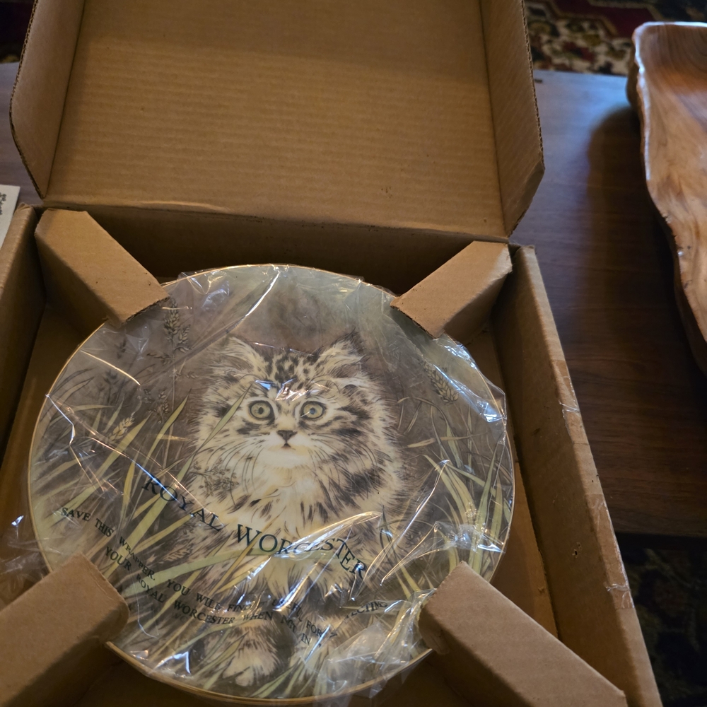 Royal Worcester Cat Design Plate with Gold Rim - Picture 3 of 4